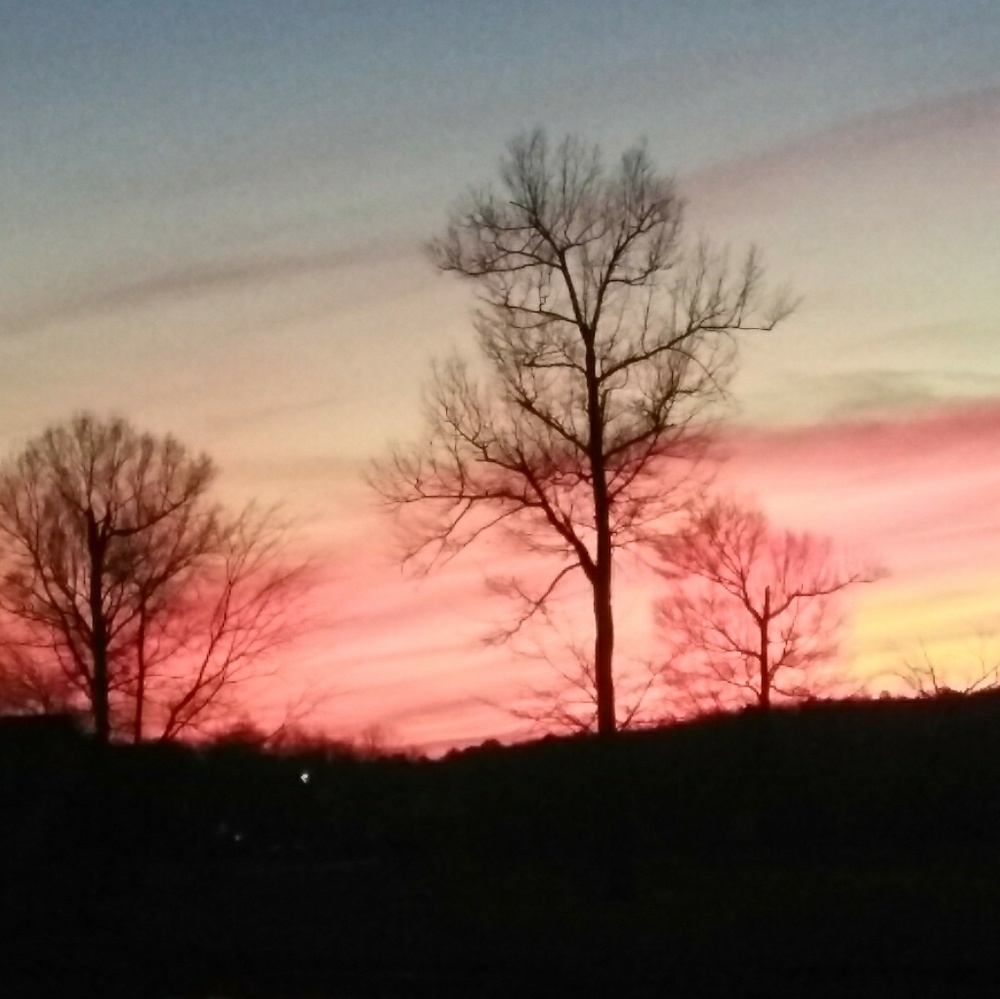 Meet your Posher, Jencie